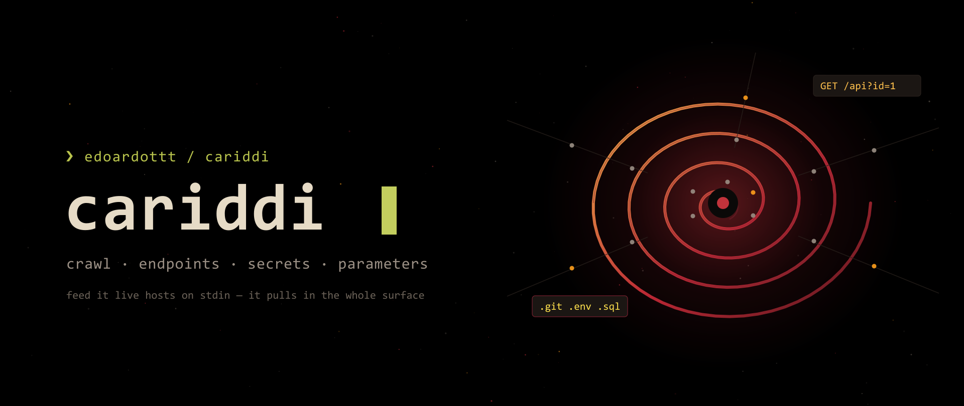 cariddi — crawl for endpoints, secrets & parameters