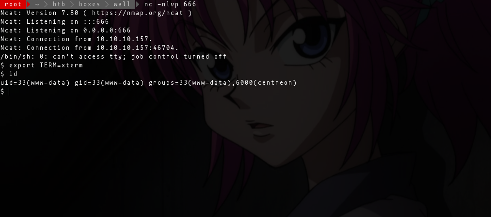 HackTheBox-Wall/www_data_shell.png